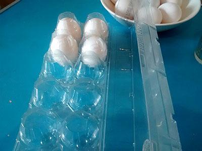Cuna contenedora para huevos