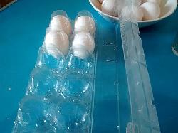 Blister para huevos - huevera Fabrica de envases plasticos